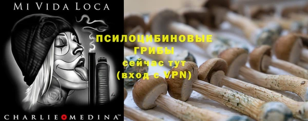 индика Балахна