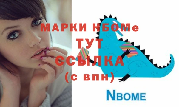 индика Балахна