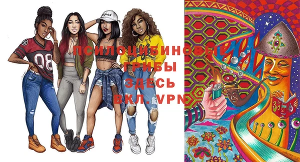 индика Балахна