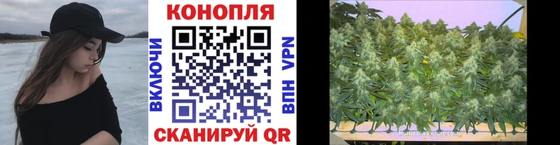 как найти наркотики  Озёры  Шишки марихуана марихуана 